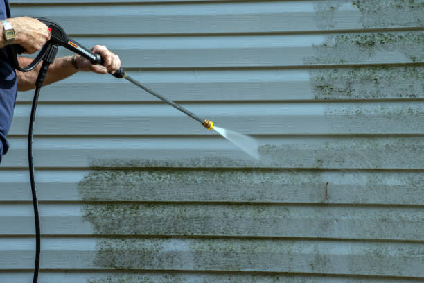 Best Garage Pressure Washing  in Escanaba, MI