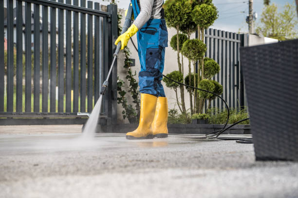 Best Best Pressure Washing Companies  in Escanaba, MI