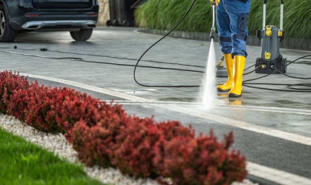 Best Exterior Home Cleaning  in Escanaba, MI