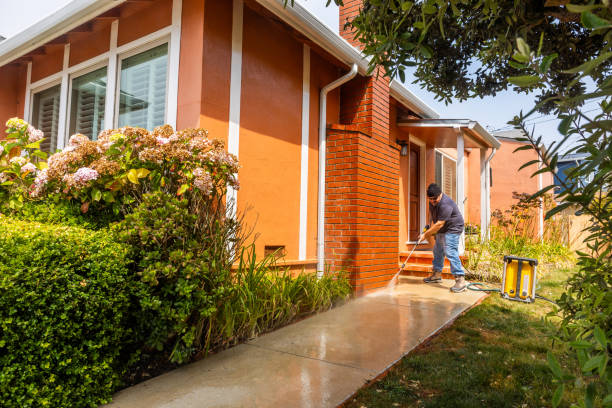 Best Pressure Washing Services Near Me  in Escanaba, MI
