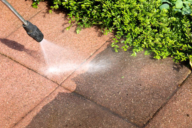 Best Local Pressure Washing Services  in Escanaba, MI